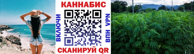 магазин продажи наркотиков  Геленджик  Каннабис план 